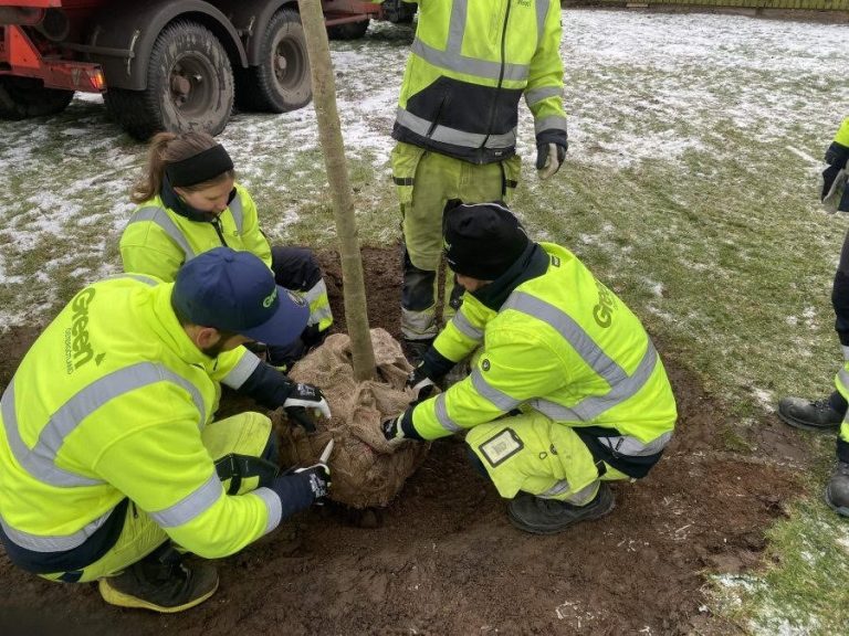 Kursdeltagare övar trädplantering under Yrkesbevis 1